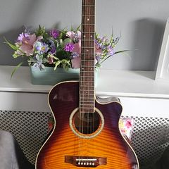 Gibson Epiphone PR 6E