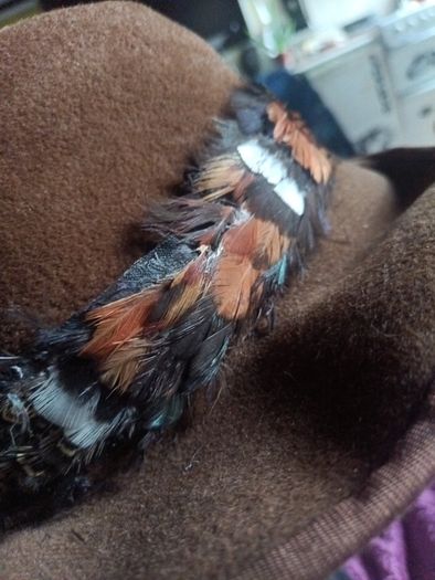 felt feather hat