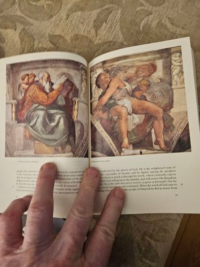 Michelangelo By Linda Murray. With 161 Illusions 20 In Colour. Paperback In Good Condition.  See Photos For Same.