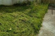 lawn mowing service