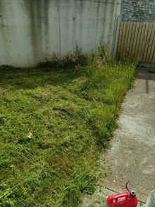 lawn mowing service