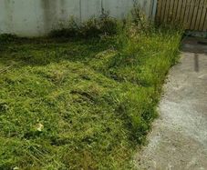 lawn mowing service