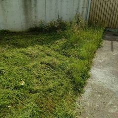 lawn mowing service