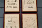 18th century set of four framed "Art D'Ecrire" copper plate calligraphy prints