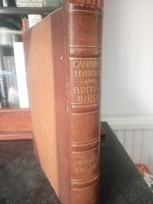 Antique Bird Book - Canaries, Hybrids & British Birds
