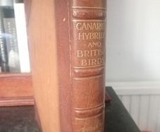 Antique Bird Book - Canaries, Hybrids & British Birds