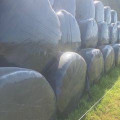 Silage bales