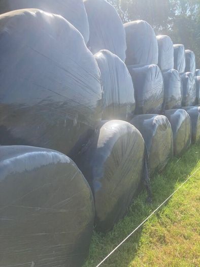 Silage bales