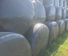 Silage bales