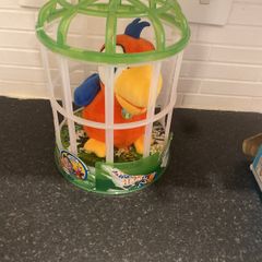 talking parrot toy