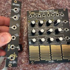 Make Noise Pressure Points and Brains Combo