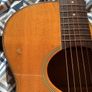 1986 Washburn Monterey Image 4