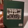 Celtic: A Century with Honour-Brian Wilson Image 9