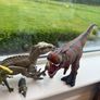 Selection of Dinosaurs Image 7