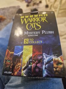 Warrior cats series one