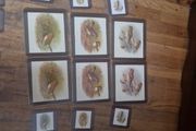 vintage tablemats