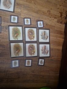 vintage tablemats