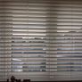 Blinds Image 3
