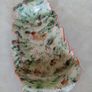 Forest Fern Image 9