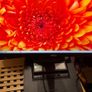 HP Pro with Dell monitor Image 8
