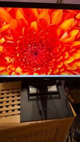 Dell monitor 22 inch, model P2213t
