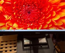 Dell monitor 22 inch, model P2213t