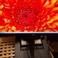 Dell monitor 22 inch, model P2213t