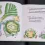 Polish book Image 3