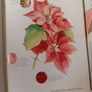 The Water Colour Flower Painter A-Z Book Image 6