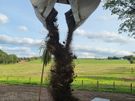 20 Ton Grab Hire,Ground Work, Removal and Delivery Image 5