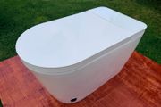 Smart / Japanese toilet with bidet wash