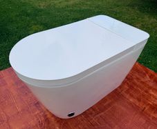Smart / Japanese toilet with bidet wash