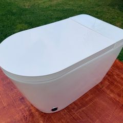 Smart / Japanese toilet with bidet wash