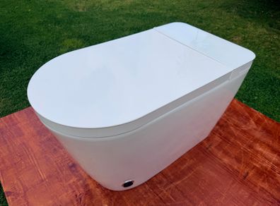Smart / Japanese toilet with bidet wash