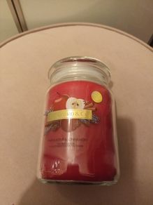 Beautiful Warm apple and Cinnamon christmas candle