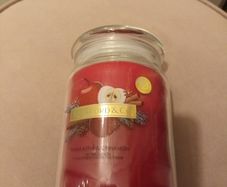 Beautiful Warm apple and Cinnamon christmas candle