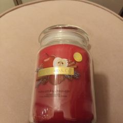Beautiful Warm apple and Cinnamon christmas candle