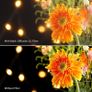 KF Concept 77mm Black Diffusion Filters Half Price v Amazon! Image 4