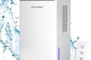 Dual Semiconductor Dehumidifier for Bathroom Basement Up to 20 with 2L Watertank, with 1.5m Drain Hose, Auto Defrost and Intelligent Humidity Control