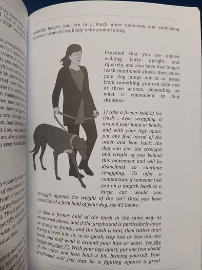Understanding Greyhounds - Mary Fox