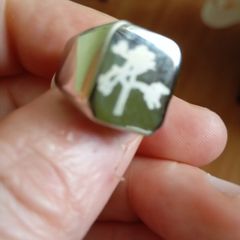 U2 the Joshua tree ring 2019 tour