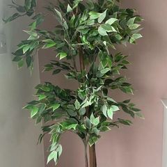 IKEA Fejka plant