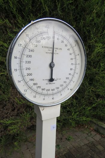 1967 vintage H. Fereday & Sons Ltd. column / lollipop scale