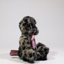 Charlie bears teensy weensy Image 4