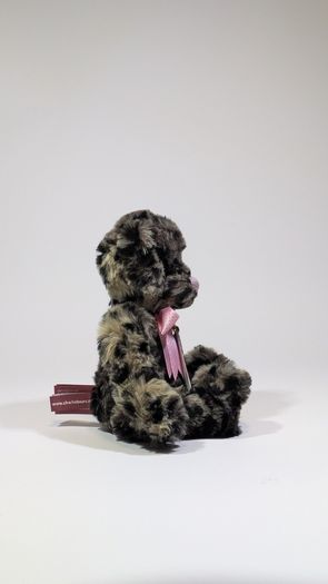 Charlie bears teensy weensy