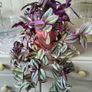 Trailing House Plants. Image 2