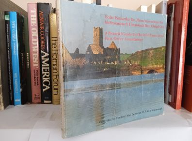 A Pictorial Guide to the Irish Franciscan First Order Foundation: Eolai Pictiurtha do Fhonduireachtai na bhFroinsiasach Eireann den Chead Ord by Frederic Mac Donncha (LP131)