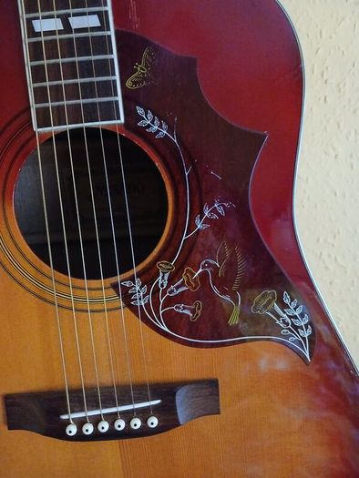 Mikado Acoustic Guitar