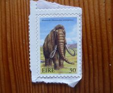 Irish Stamp