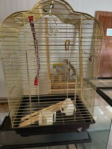 Bird Cage